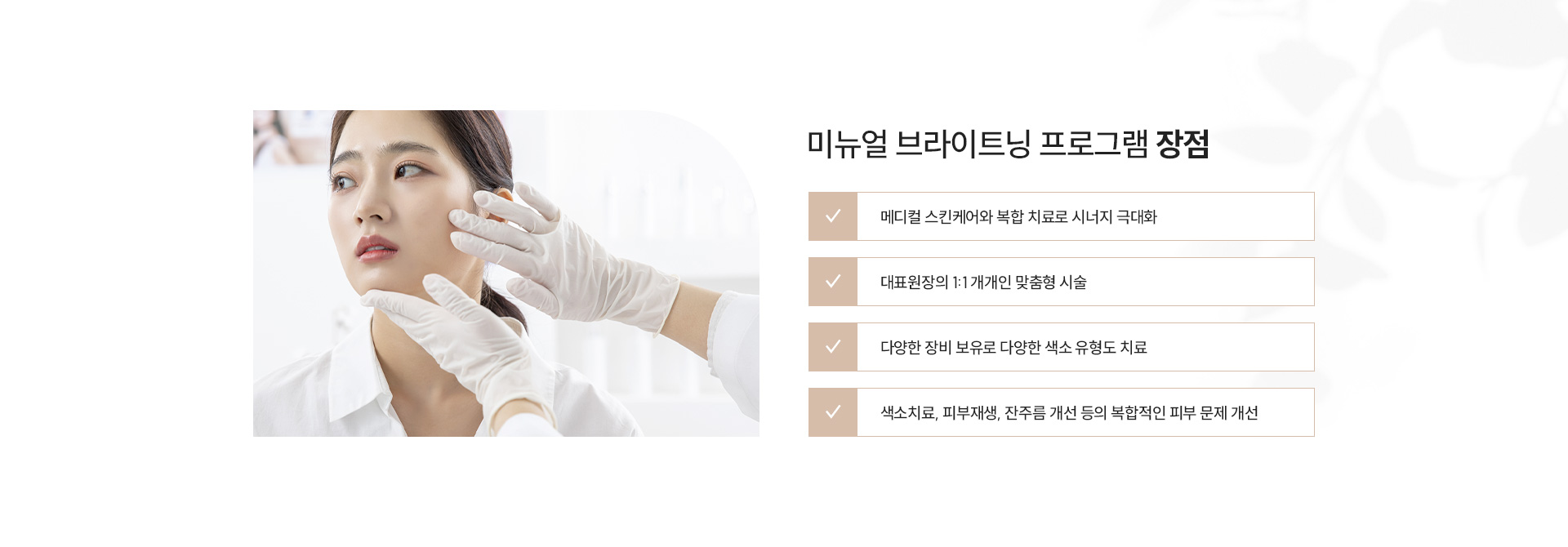 미뉴얼 브라이트닝 프로그램 장점
