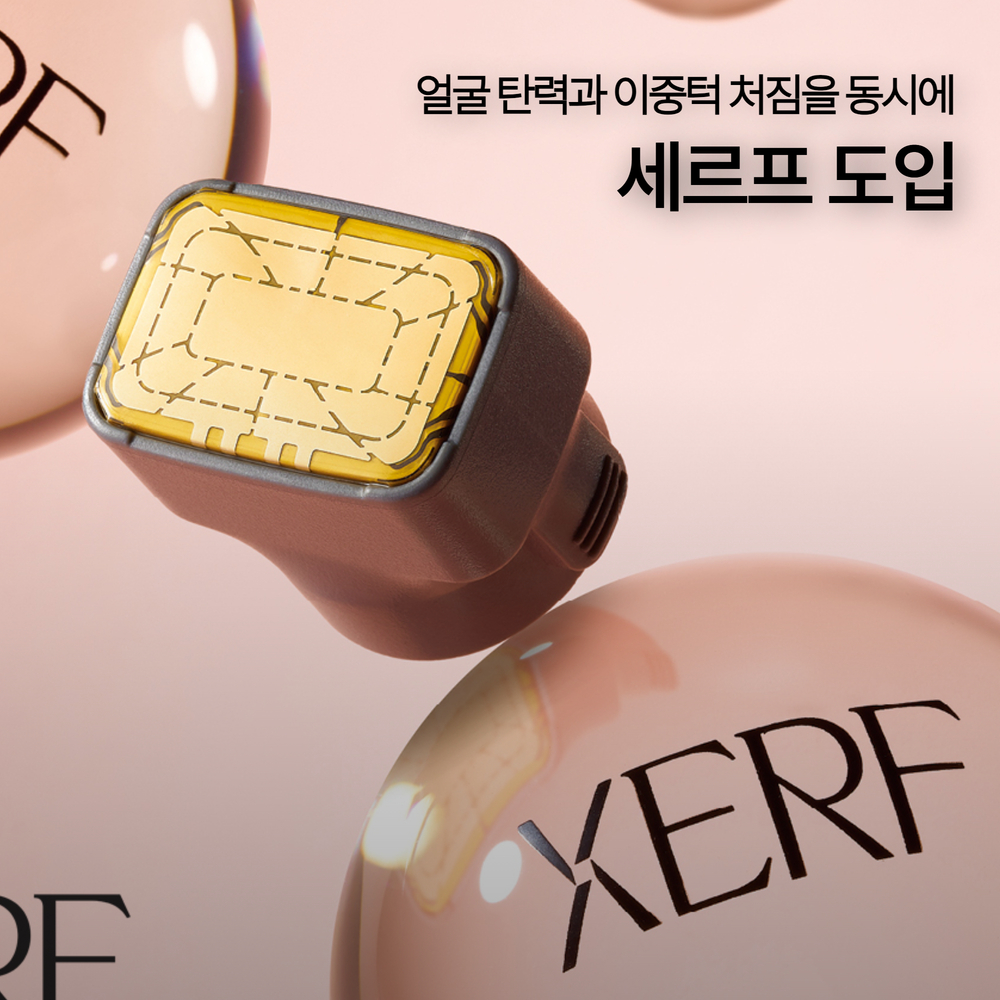 세르프 도입 이벤트
