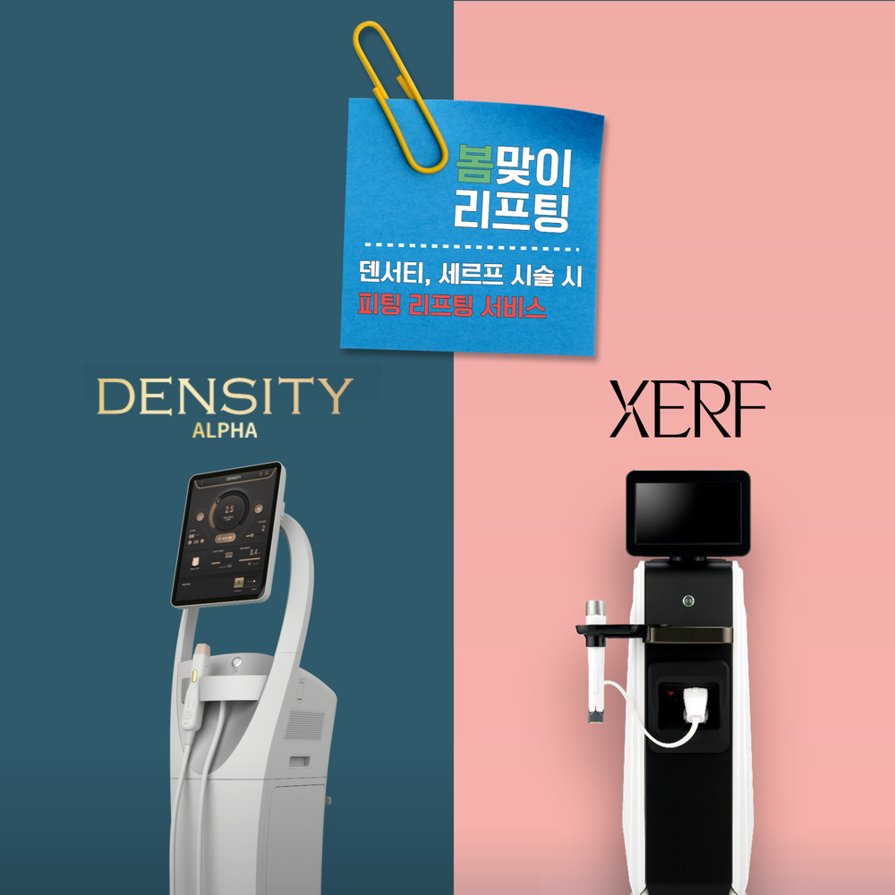 덴서티 알파 도입